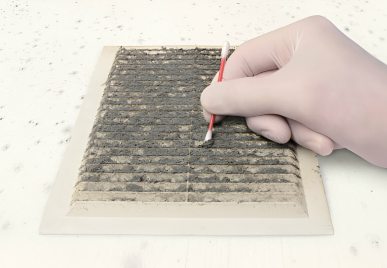 professional mold testing