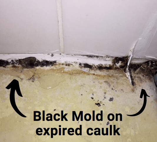 black mold on expired caulk
