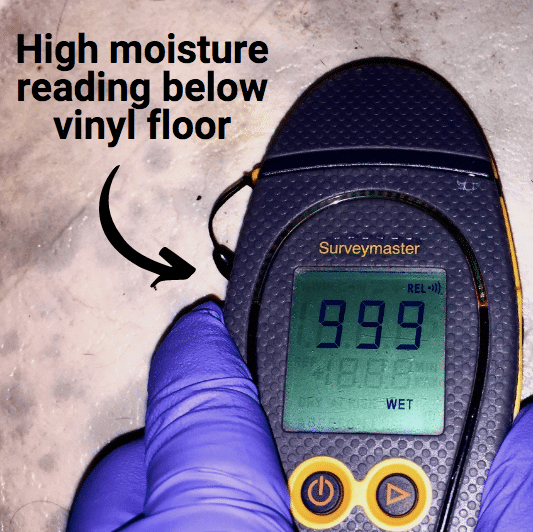 high moisture reading vinyl floor