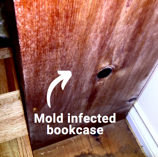mold infected bookcase