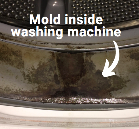 mold inside washing machine