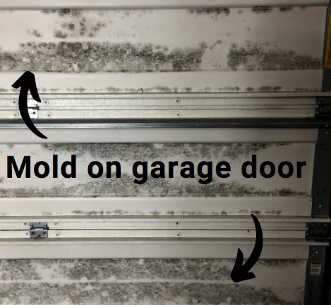 mold on garage door