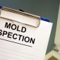 11 Tips to Hire the Best Mold Inspectorjpg 85x85