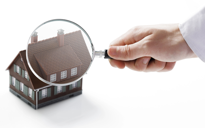 Home Inspector vs Mold Inspector: Who to Hire?