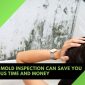 why a mold inspection 85x85