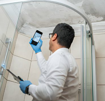 Mold Consultant on Telephone