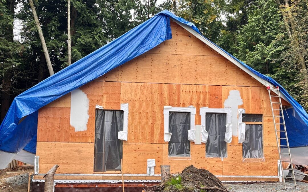 How Mold Can Affect Your New Home: The Dark Side of Winter Construction