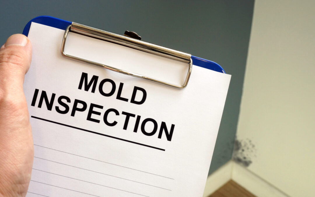 11 Tips for Finding the Best Mold Inspector